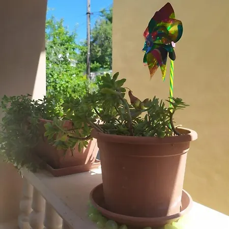 Alex Baska Apartament Draga Bašćanska